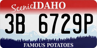 ID license plate 3B6729P