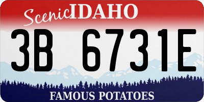 ID license plate 3B6731E