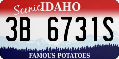 ID license plate 3B6731S