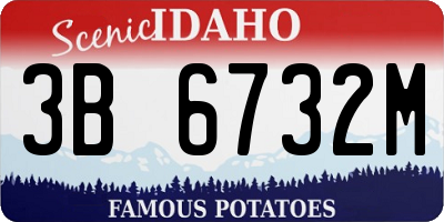 ID license plate 3B6732M