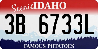ID license plate 3B6733L