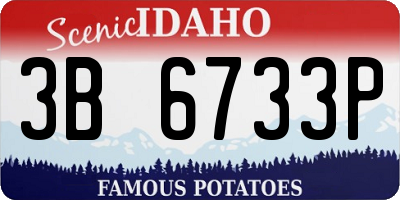 ID license plate 3B6733P