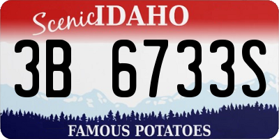 ID license plate 3B6733S