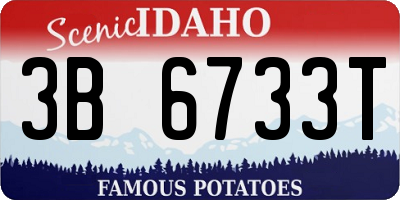 ID license plate 3B6733T