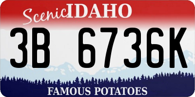 ID license plate 3B6736K