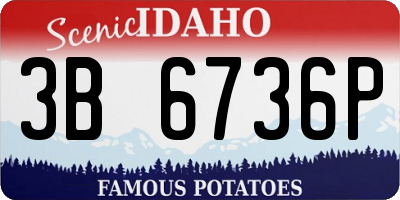 ID license plate 3B6736P