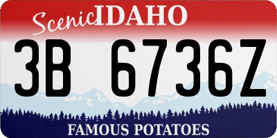 ID license plate 3B6736Z