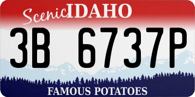 ID license plate 3B6737P