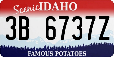 ID license plate 3B6737Z