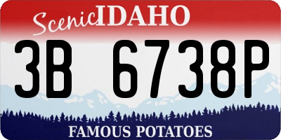 ID license plate 3B6738P