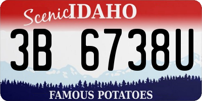 ID license plate 3B6738U