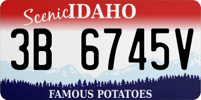 ID license plate 3B6745V