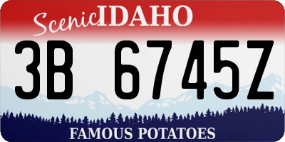 ID license plate 3B6745Z