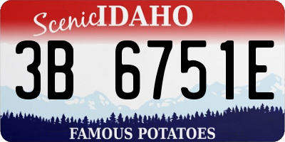 ID license plate 3B6751E