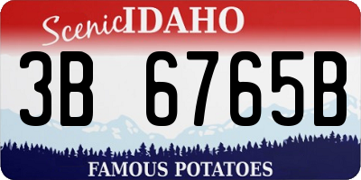 ID license plate 3B6765B
