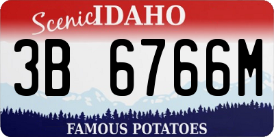 ID license plate 3B6766M