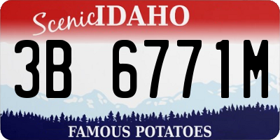 ID license plate 3B6771M