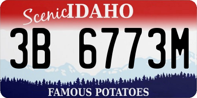 ID license plate 3B6773M