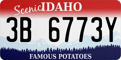 ID license plate 3B6773Y
