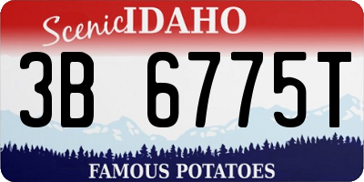 ID license plate 3B6775T
