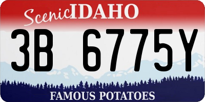 ID license plate 3B6775Y