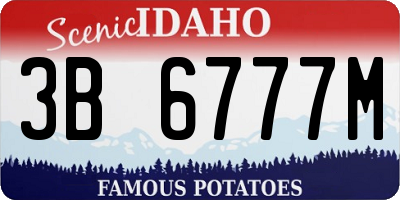 ID license plate 3B6777M