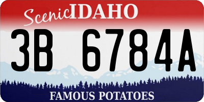 ID license plate 3B6784A