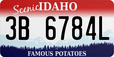 ID license plate 3B6784L
