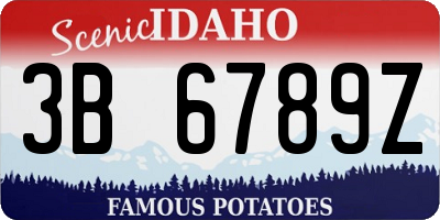 ID license plate 3B6789Z