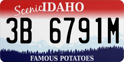ID license plate 3B6791M