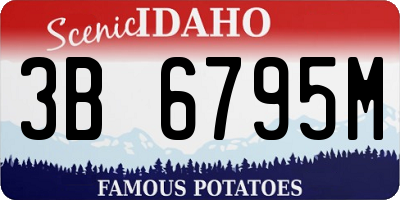ID license plate 3B6795M