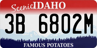 ID license plate 3B6802M