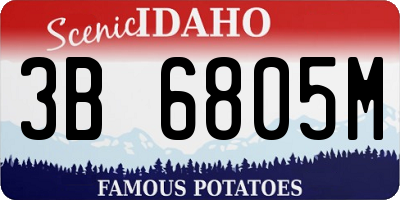 ID license plate 3B6805M
