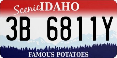 ID license plate 3B6811Y