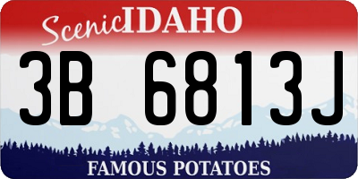 ID license plate 3B6813J