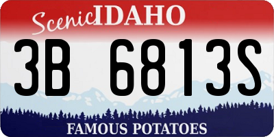 ID license plate 3B6813S