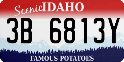 ID license plate 3B6813Y