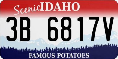 ID license plate 3B6817V