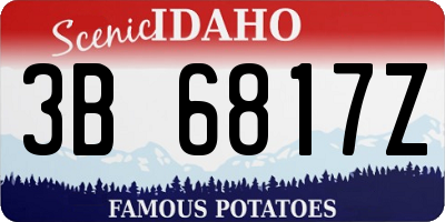 ID license plate 3B6817Z