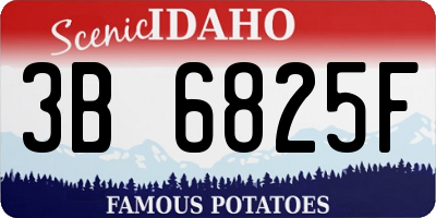 ID license plate 3B6825F