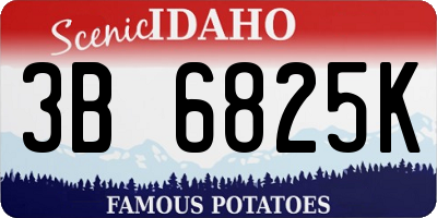 ID license plate 3B6825K