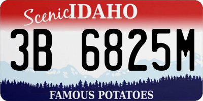 ID license plate 3B6825M