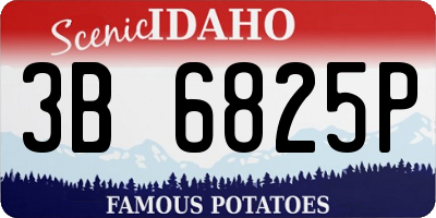 ID license plate 3B6825P