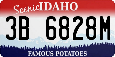 ID license plate 3B6828M