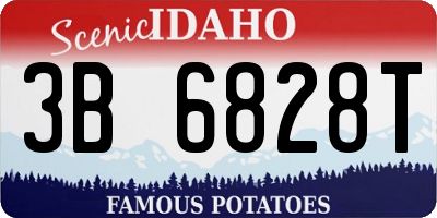 ID license plate 3B6828T