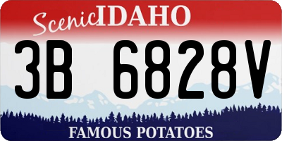 ID license plate 3B6828V