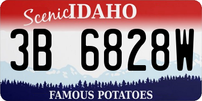 ID license plate 3B6828W