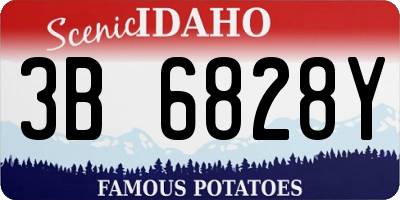 ID license plate 3B6828Y