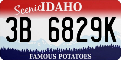 ID license plate 3B6829K