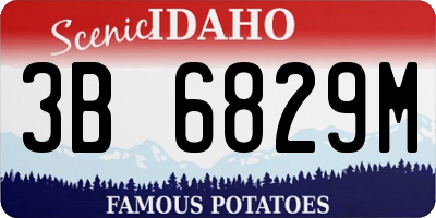 ID license plate 3B6829M